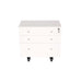 Front view of Kangaroo Joey Storage Cabinet in Ash White K7811 featuring three drawers, locking top drawer, and rolling casters.
