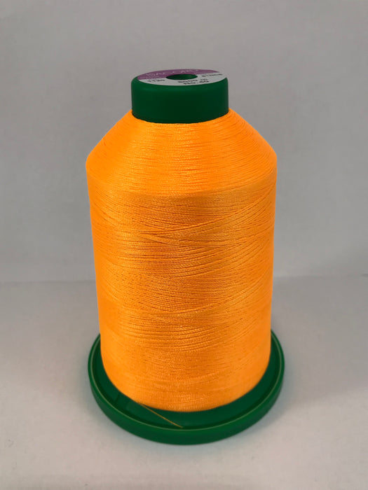 Isacord Embroidery Thread (0170 Sea Shell)